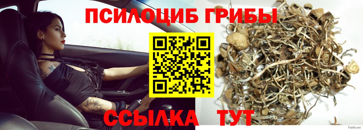 Псилоцибиновые грибы мухоморы  Псилоцибиновые грибы ЛСД  Гудермес  Вход с VPN 